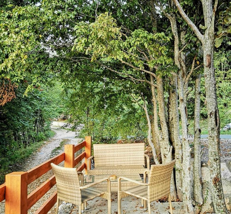 Oasis Of Peace Apartment Cetinje Bagian luar foto